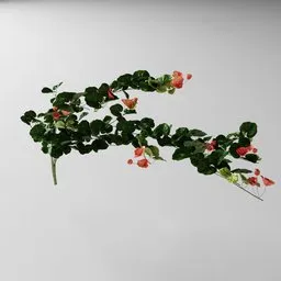 Detailed 3D geranium tendril model with red blooms and green leaves, compatible with Blender for indoor nature scenes.