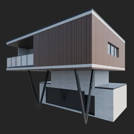 Modern Wooden House