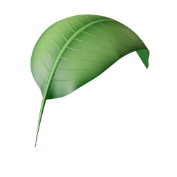 stylised Leaf