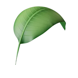 stylised Leaf