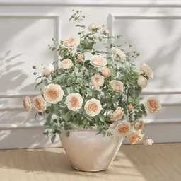 Blush Garden Roses