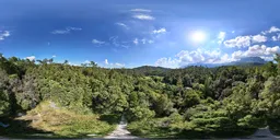 Highsky bluesky green forest