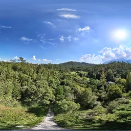 Highsky bluesky green forest