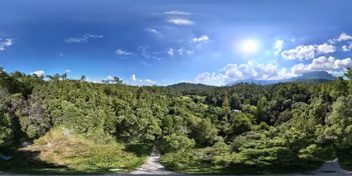 Highsky bluesky green forest
