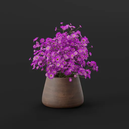 Purple Daisy