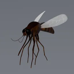 Mosquito