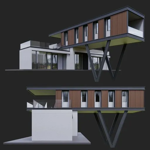 Modern Wooden House