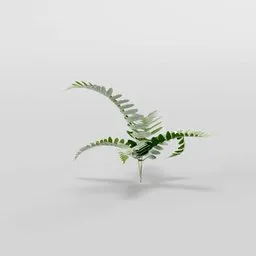 Low-poly photo-scanned 3D fern model with realistic 1k PBR textures and translucent leaves, ideal for Blender environments.