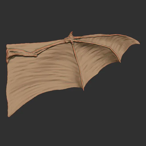 Bat Wing