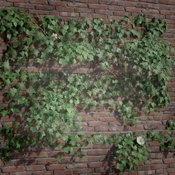 Ivy Creeper Tile 2M 01 03