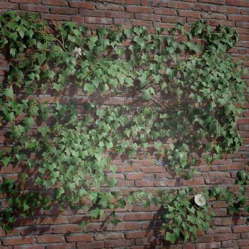 Realistic 3D ivy creeper for game environments and scenes, seamless tile for Blender 3D, high-quality textures.