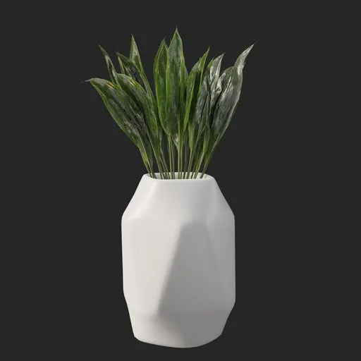 Plant