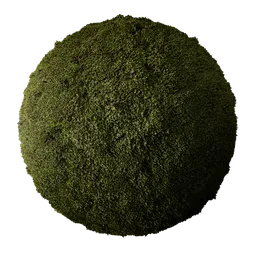 Thick Moss Scan PBR