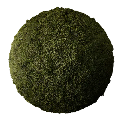 Thick Moss Scan PBR