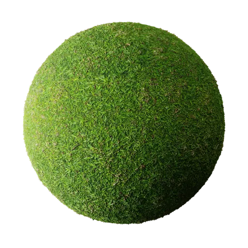 Carabao Grass