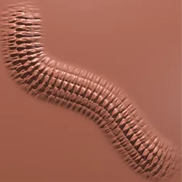 3D model sculpting brush imprint, ideal for creating detailed elastic waistband textures in Blender.