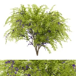 flower bush plant
