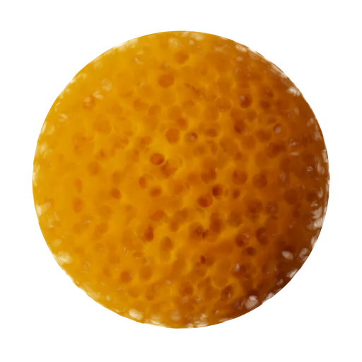 Sponge