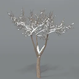 Tree With Snow