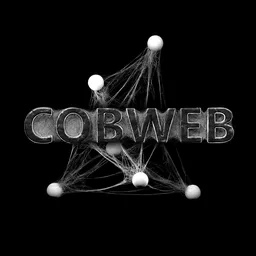 Cobweb