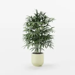 Indoor plant