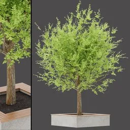 Outdoor Tree Table