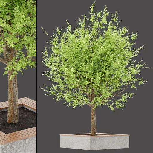 Outdoor Tree Table