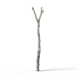 Detailed 3D model of a dead, leafless tree with bare branches, designed for Blender 3D projects.