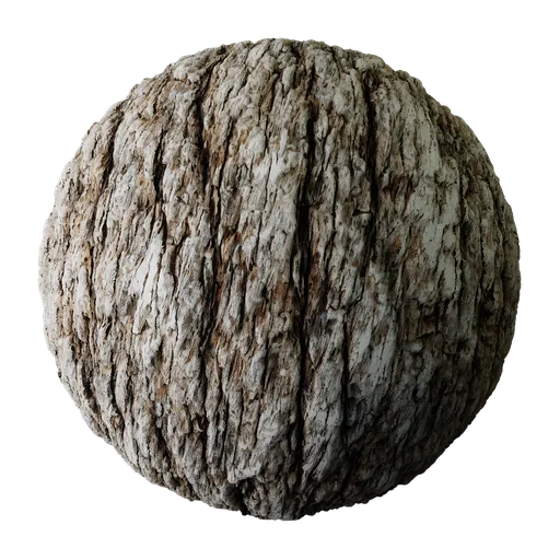 Tree Bark