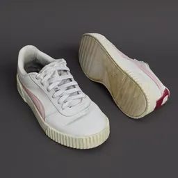 Realistic White Sneakers (used)