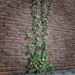 Realistic 3D ivy model with high-quality textures for Blender, ideal for game environments and virtual scenes.