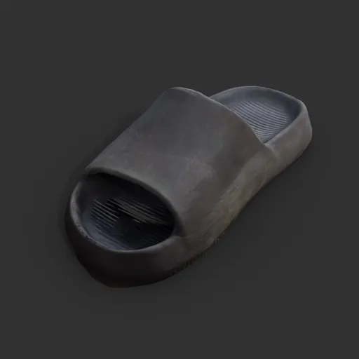Black Slipper