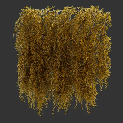 Hanging Autumn Plant