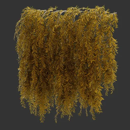 Hanging Autumn Plant