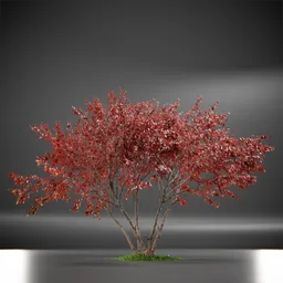 Tree Ruby Slippers Animated