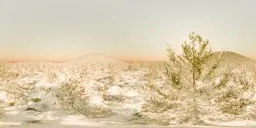 Snowy winter landscape with sunlight reflecting on trees and snow for 3D HDR lighting.