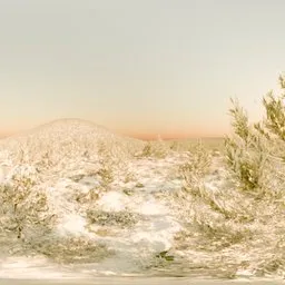 Forrest Hills Winter Morning