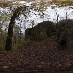 Forest Cave