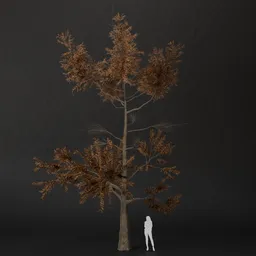 SJ-Harvest Fog Pine Tree