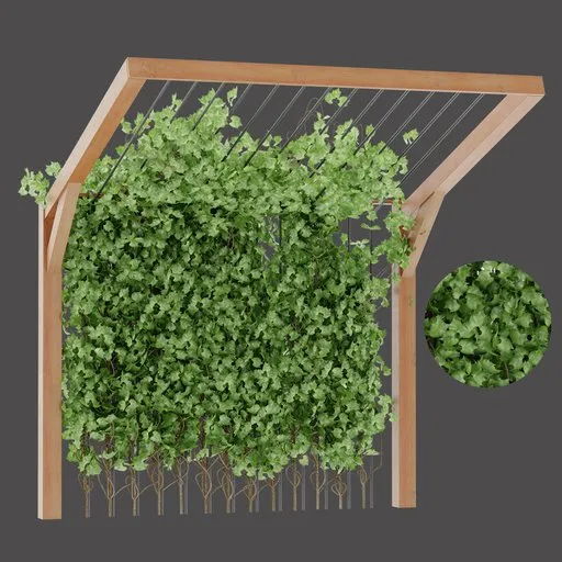 Vertical Climbing Garden
