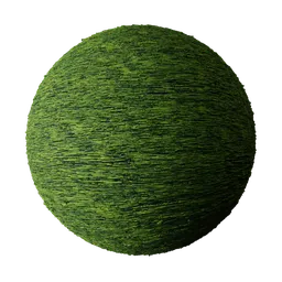 Tall Grass