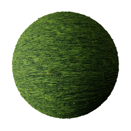 Tall Grass