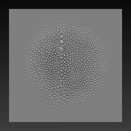 NS Reptile skin crocodile