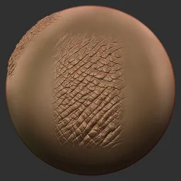 Wrinkled Reptile Skin
