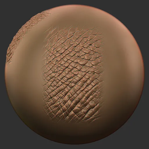 Wrinkled Reptile Skin