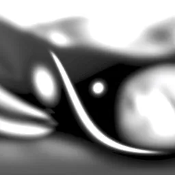 Studio Black and White