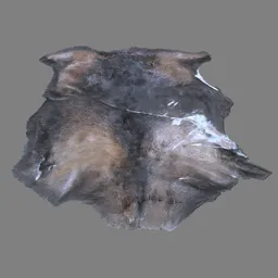 Boar pelt with hair strands