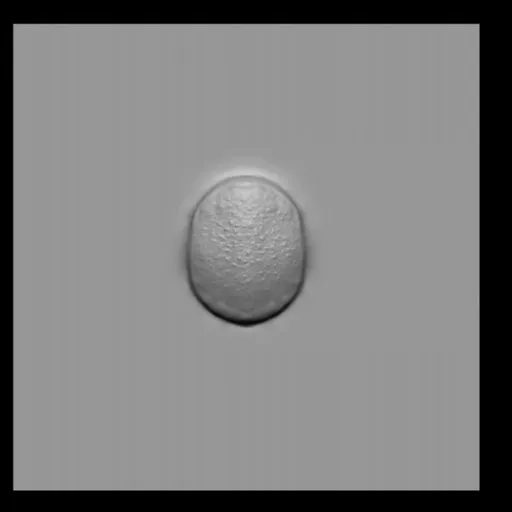 Detailed aquatic creature scale effect by NS Sea Creature small 3D sculpting brush for Blender.