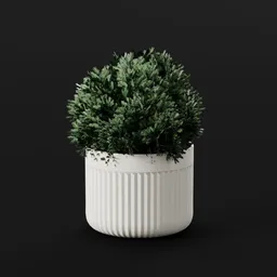 Juniper Bush Trim Pot