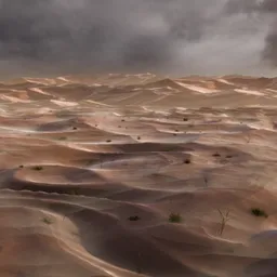 Desert Storm